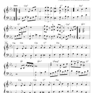 LAGRIMAS NEGRAS - MIGUEL MATAMOROS