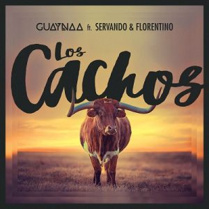 LOS CHACHOS - GUAYNAA
